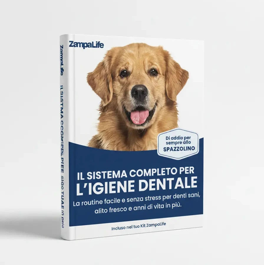 E-Book: Protocollo 30 Giorni