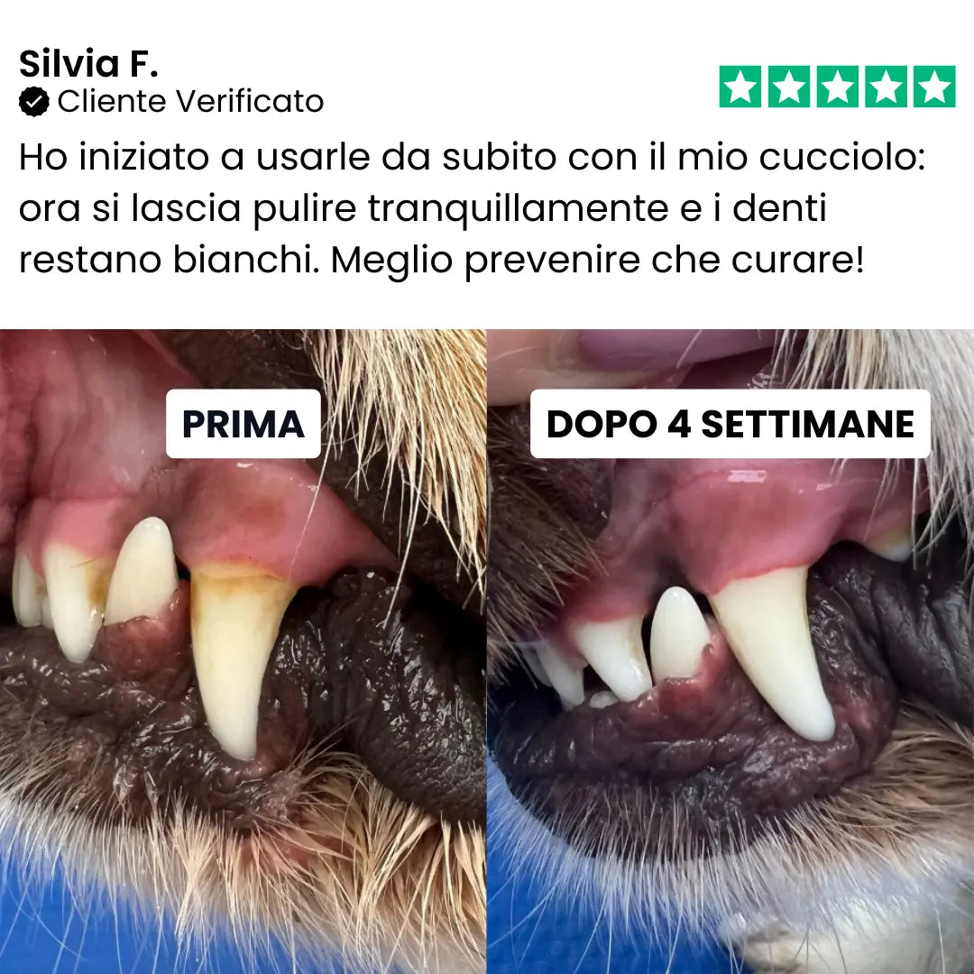 Salviette Denti