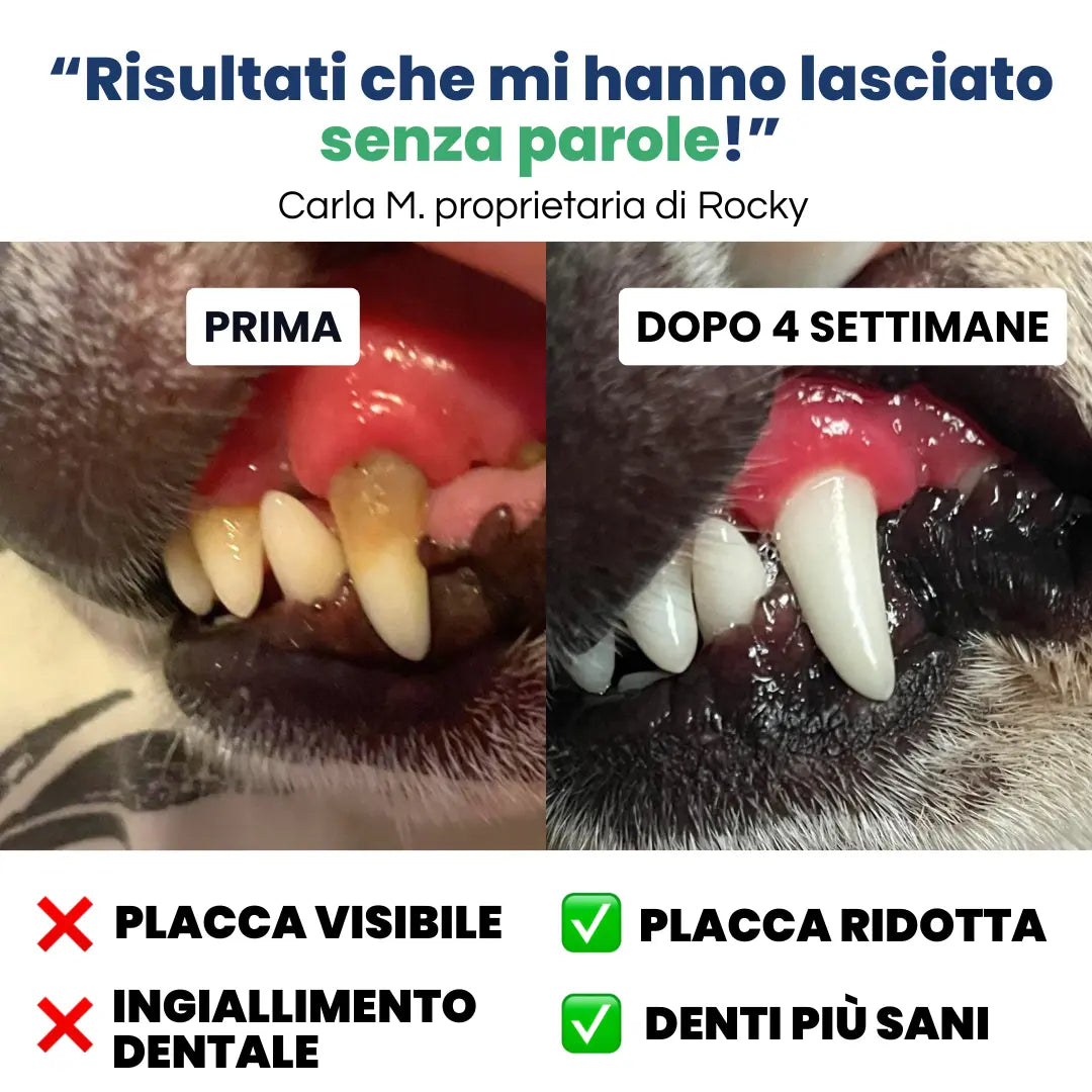 Salviette Denti
