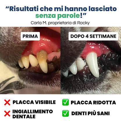 Salviette Denti