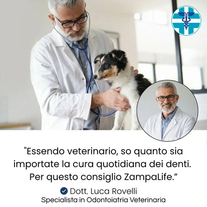 Salviette Denti