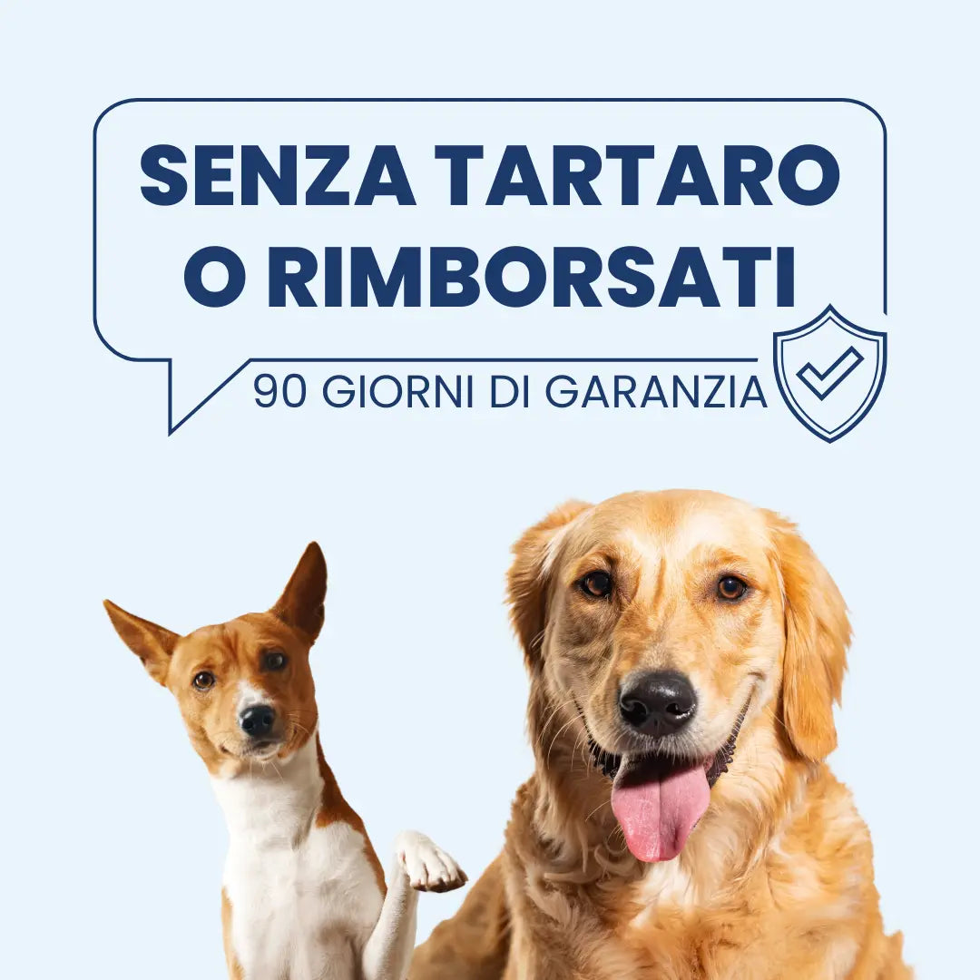 Salviette Denti