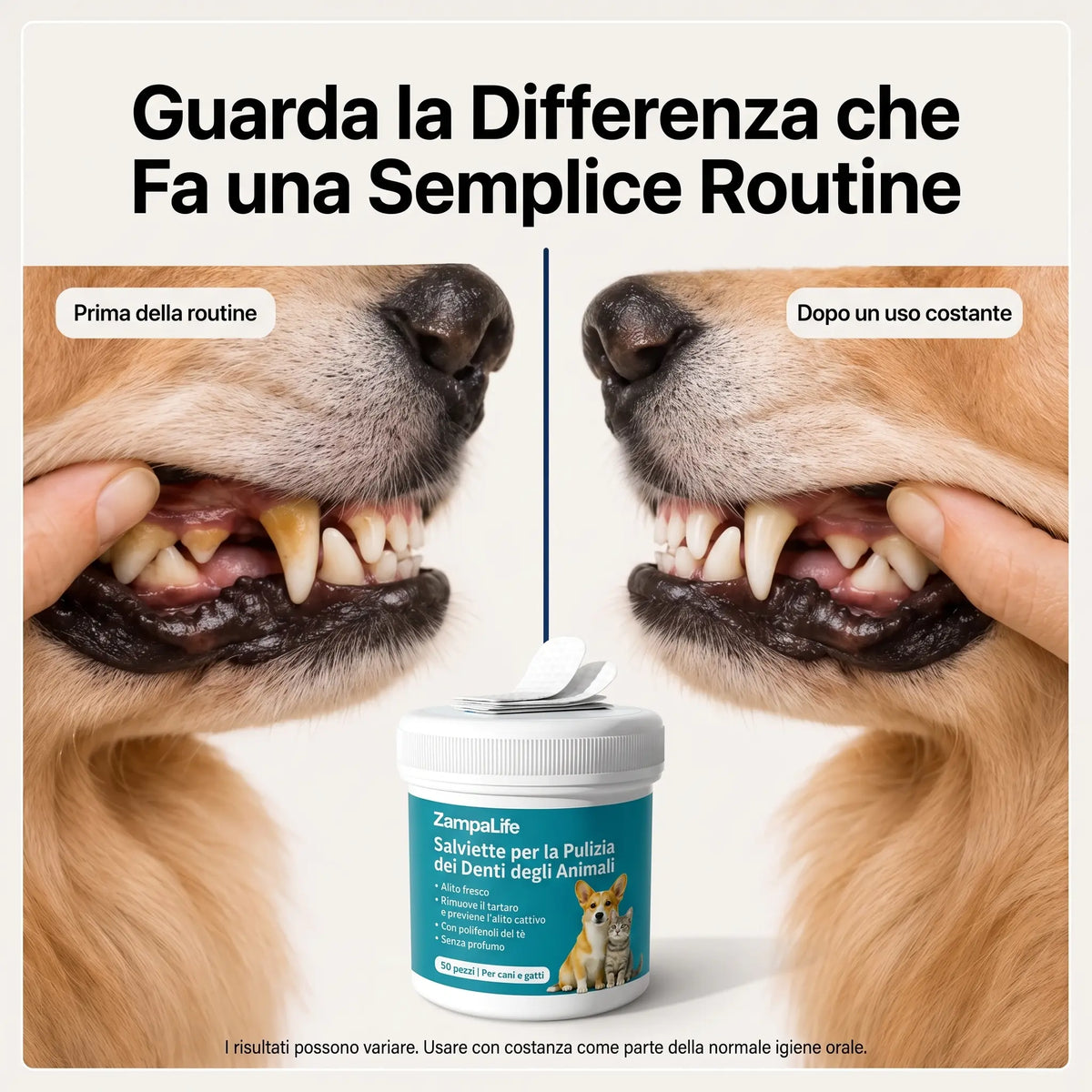 Salviette Denti