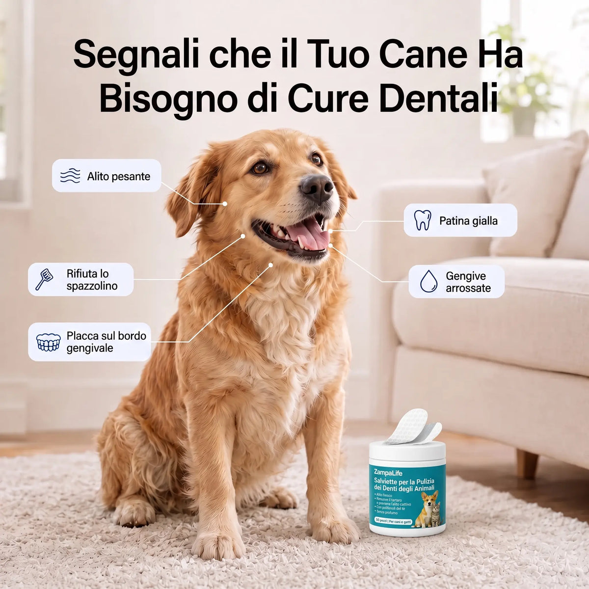 Salviette Denti