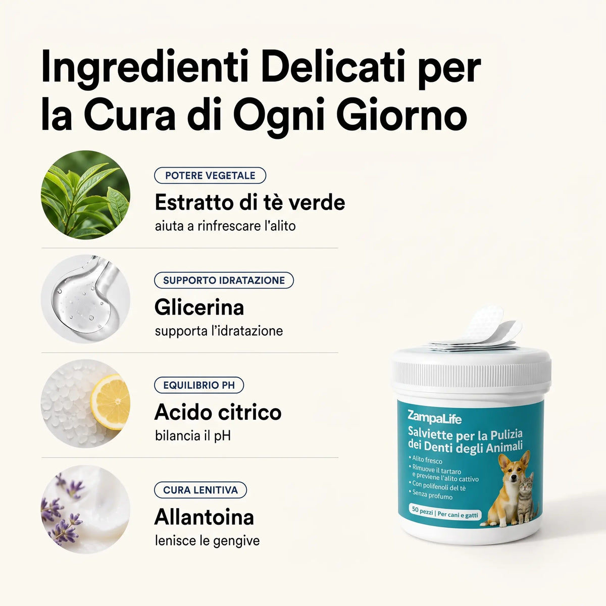 Salviette Denti